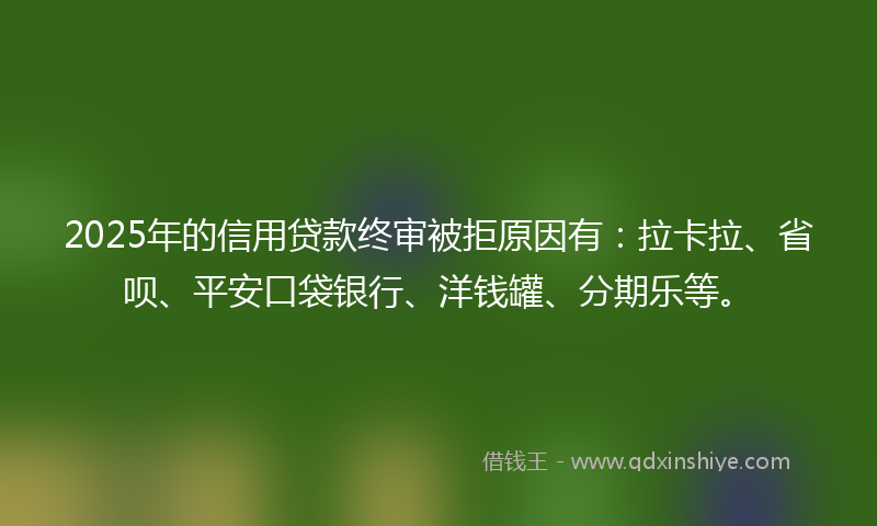 2025年的信用贷款终审被拒原因有：拉卡拉、省呗、平安口袋银行、洋钱罐、分期乐等。