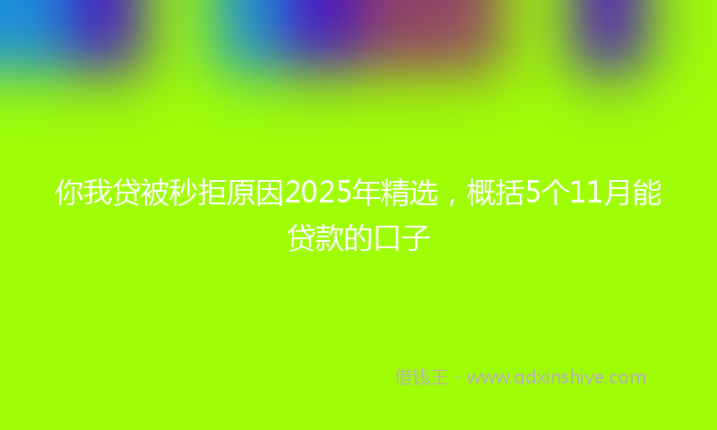 你我贷被秒拒原因2025年精选，概括5个11月能贷款的口子