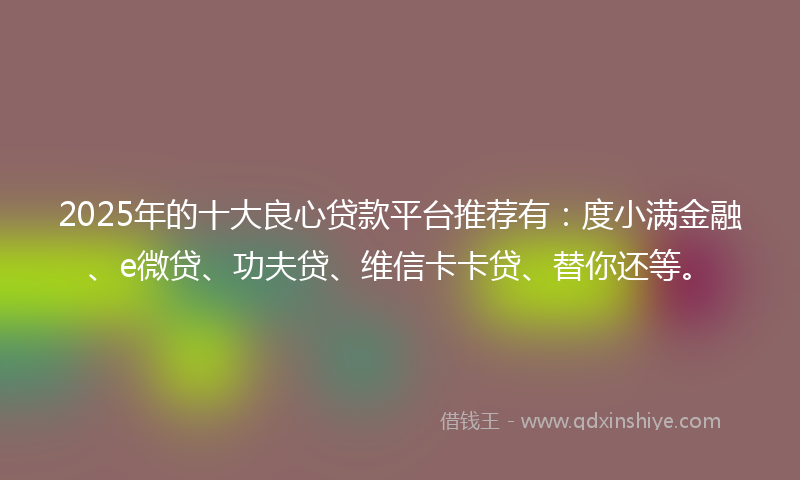 2025年的十大良心贷款平台推荐有：度小满金融、e微贷、功夫贷、维信卡卡贷、替你还等。