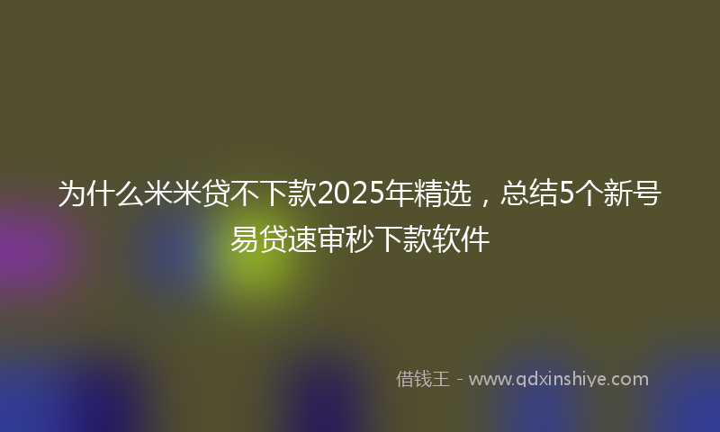 为什么米米贷不下款2025年精选，总结5个新号易贷速审秒下款软件