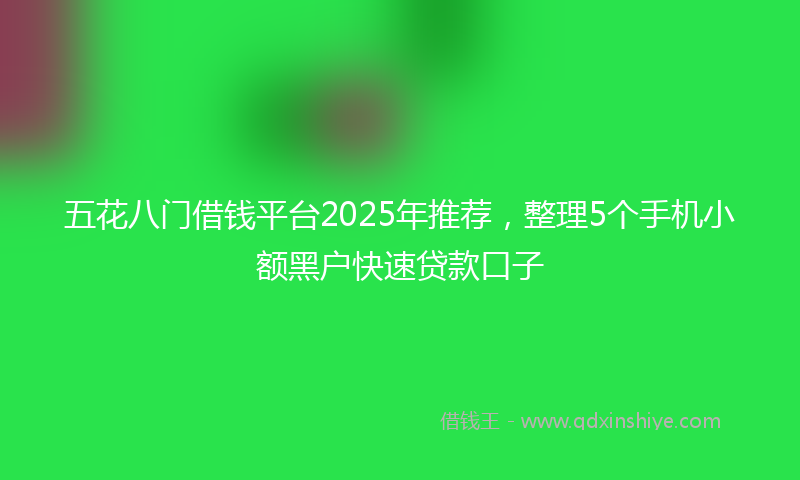 五花八门借钱平台2025年推荐，整理5个手机小额黑户快速贷款口子