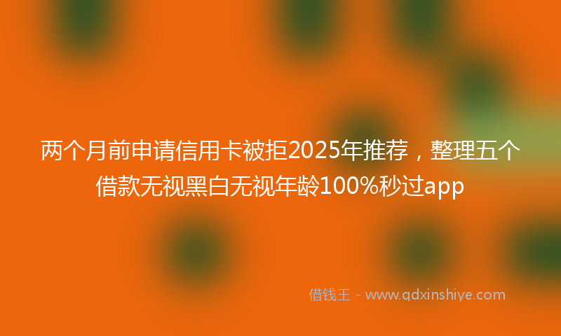 两个月前申请信用卡被拒2025年推荐，整理五个借款无视黑白无视年龄100%秒过app