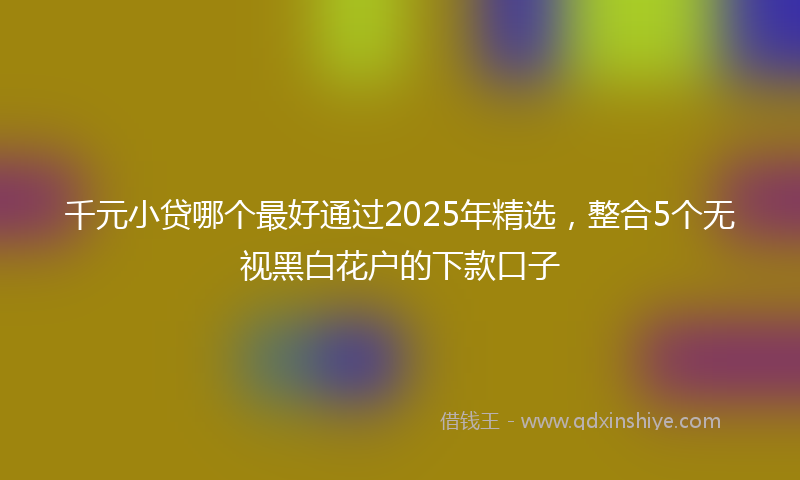 千元小贷哪个最好通过2025年精选，整合5个无视黑白花户的下款口子