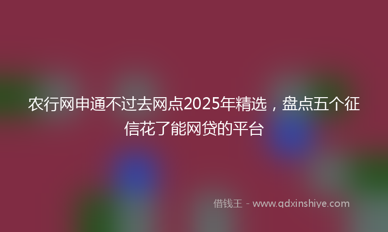 农行网申通不过去网点2025年精选，盘点五个征信花了能网贷的平台