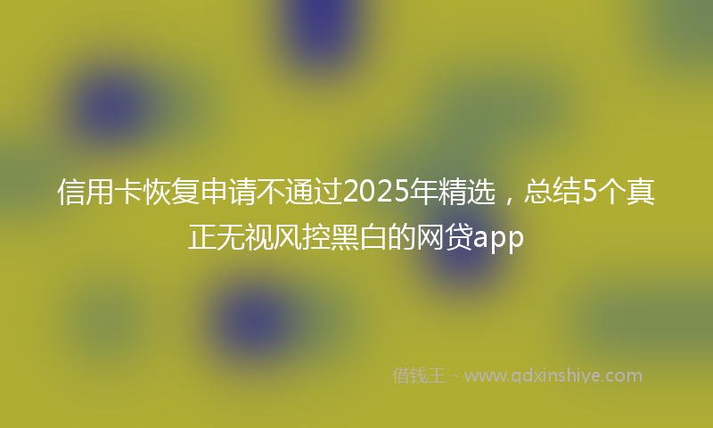 信用卡恢复申请不通过2025年精选，总结5个真正无视风控黑白的网贷app