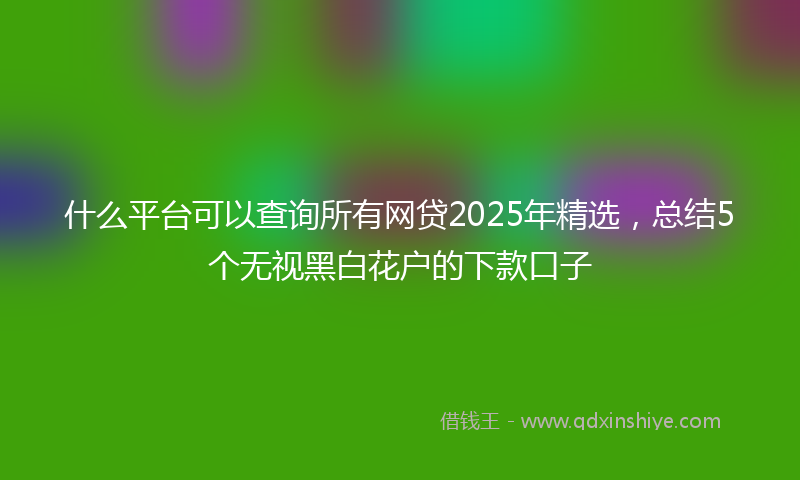 什么平台可以查询所有网贷2025年精选，总结5个无视黑白花户的下款口子