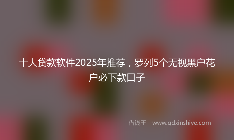 十大贷款软件2025年推荐，罗列5个无视黑户花户必下款口子