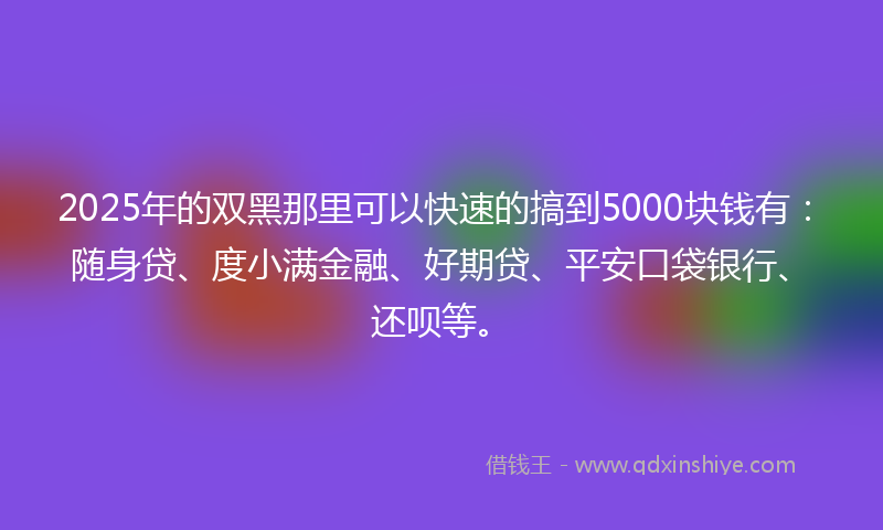 2025年的双黑那里可以快速的搞到5000块钱有：随身贷、度小满金融、好期贷、平安口袋银行、还呗等。