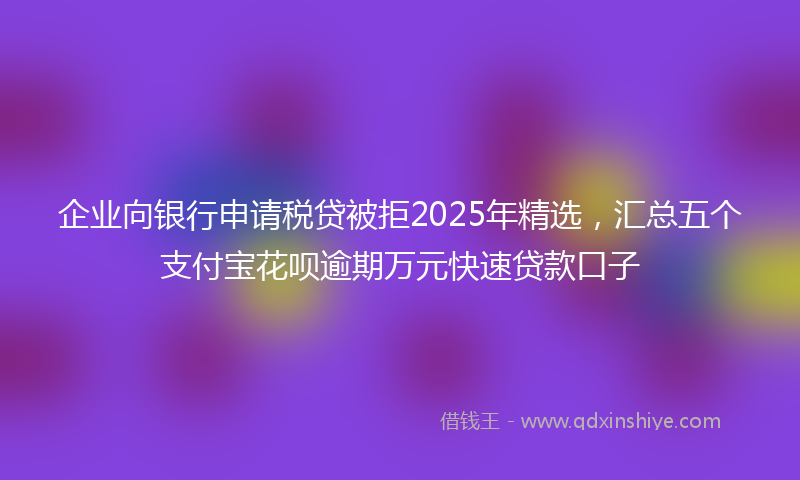 企业向银行申请税贷被拒2025年精选，汇总五个支付宝花呗逾期万元快速贷款口子