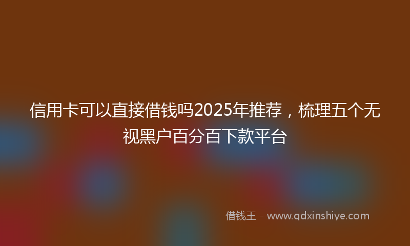 信用卡可以直接借钱吗2025年推荐，梳理五个无视黑户百分百下款平台