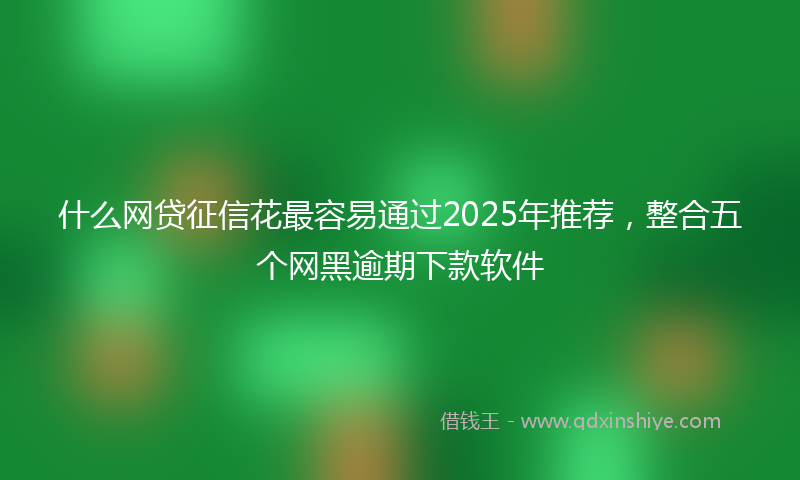 什么网贷征信花最容易通过2025年推荐，整合五个网黑逾期下款软件