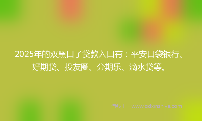 2025年的双黑口子贷款入口有：平安口袋银行、好期贷、投友圈、分期乐、滴水贷等。