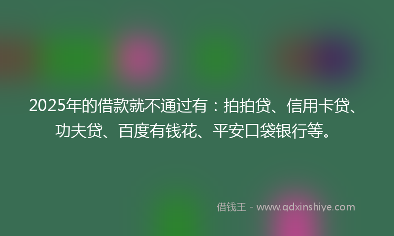 2025年的借款就不通过有：拍拍贷、信用卡贷、功夫贷、百度有钱花、平安口袋银行等。
