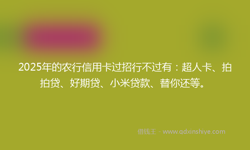 2025年的农行信用卡过招行不过有：超人卡、拍拍贷、好期贷、小米贷款、替你还等。