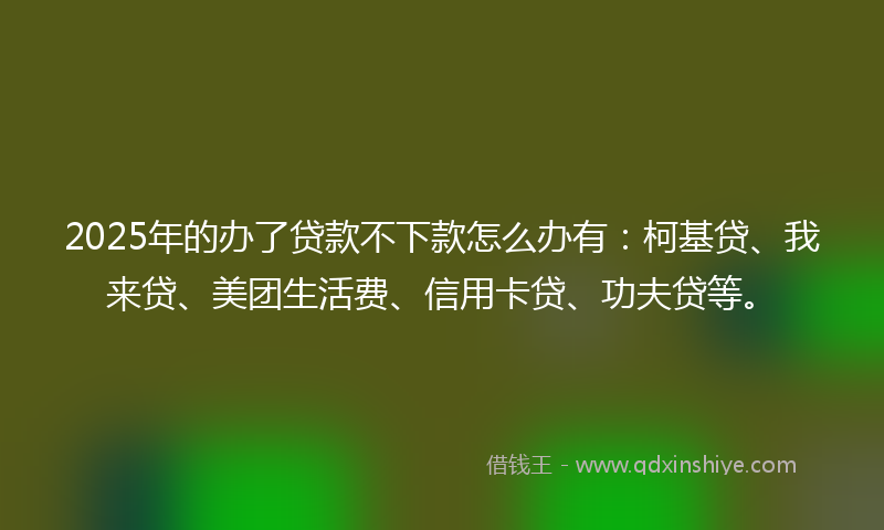 2025年的办了贷款不下款怎么办有：柯基贷、我来贷、美团生活费、信用卡贷、功夫贷等。