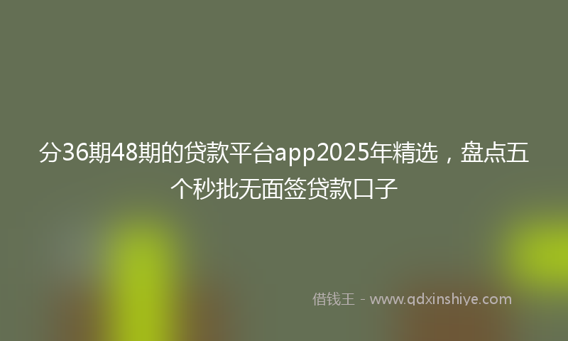 分36期48期的贷款平台app2025年精选，盘点五个秒批无面签贷款口子