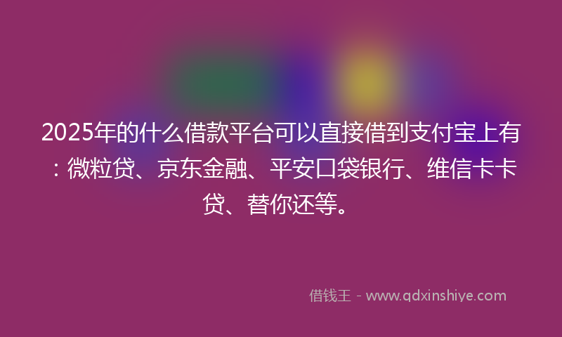 2025年的什么借款平台可以直接借到支付宝上有：微粒贷、京东金融、平安口袋银行、维信卡卡贷、替你还等。