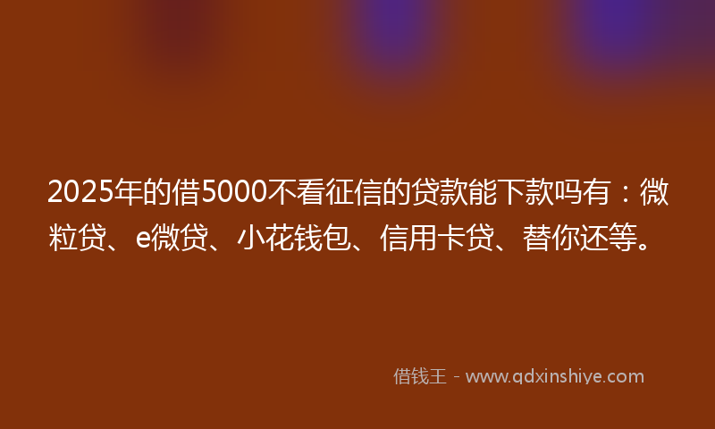 2025年的借5000不看征信的贷款能下款吗有：微粒贷、e微贷、小花钱包、信用卡贷、替你还等。