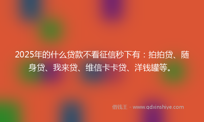 2025年的什么贷款不看征信秒下有：拍拍贷、随身贷、我来贷、维信卡卡贷、洋钱罐等。