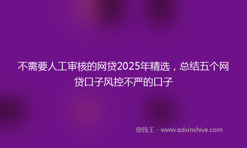 不需要人工审核的网贷2025年精选，总结五个网贷口子风控不严的口子
