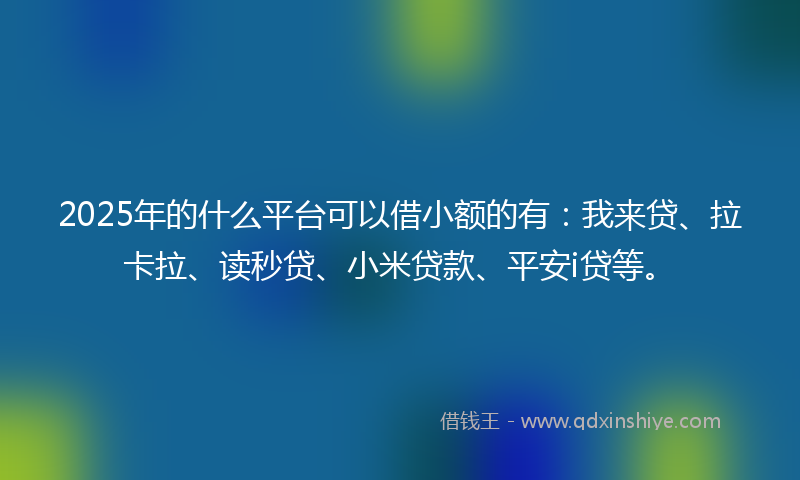 2025年的什么平台可以借小额的有：我来贷、拉卡拉、读秒贷、小米贷款、平安i贷等。