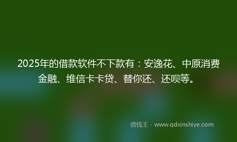 2025年的借款软件不下款有：安逸花、中原消费金融、维信卡卡贷、替你还、还呗等。