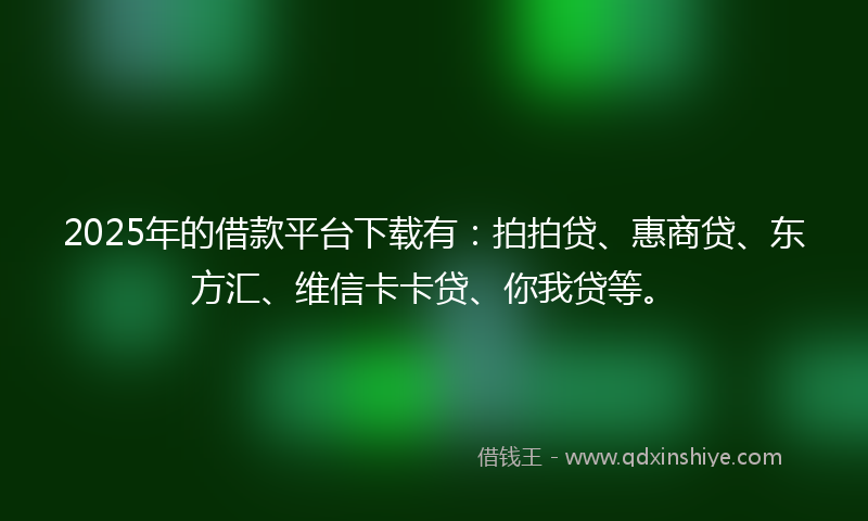 2025年的借款平台下载有：拍拍贷、惠商贷、东方汇、维信卡卡贷、你我贷等。