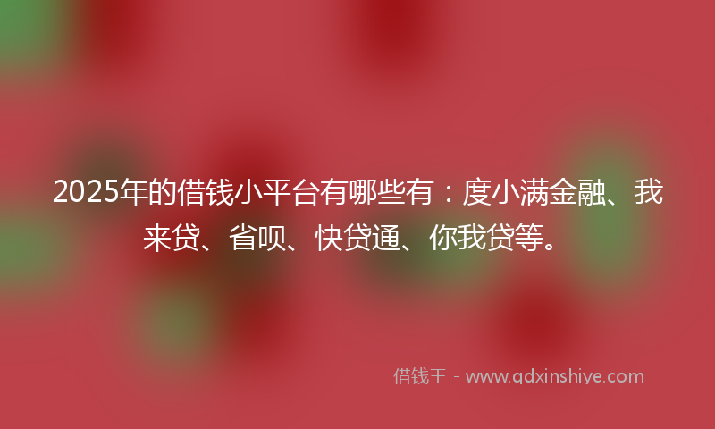 2025年的借钱小平台有哪些有：度小满金融、我来贷、省呗、快贷通、你我贷等。