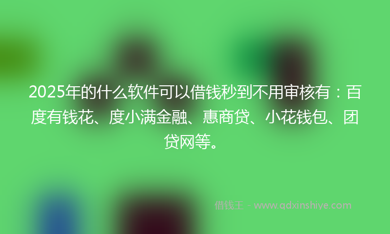 2025年的什么软件可以借钱秒到不用审核有：百度有钱花、度小满金融、惠商贷、小花钱包、团贷网等。