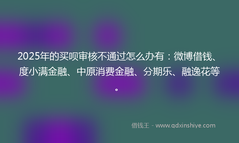 2025年的买呗审核不通过怎么办有：微博借钱、度小满金融、中原消费金融、分期乐、融逸花等。
