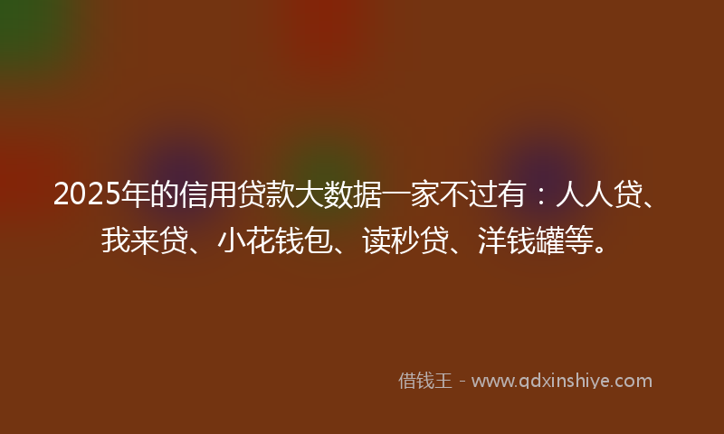2025年的信用贷款大数据一家不过有：人人贷、我来贷、小花钱包、读秒贷、洋钱罐等。