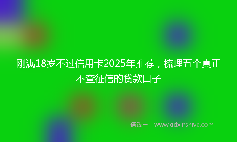 刚满18岁不过信用卡2025年推荐，梳理五个真正不查征信的贷款口子