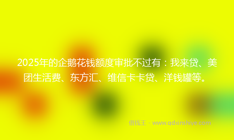 2025年的企鹅花钱额度审批不过有：我来贷、美团生活费、东方汇、维信卡卡贷、洋钱罐等。