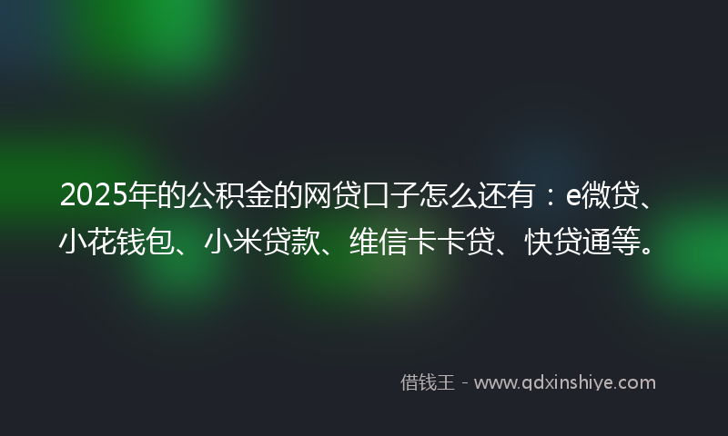2025年的公积金的网贷口子怎么还有：e微贷、小花钱包、小米贷款、维信卡卡贷、快贷通等。