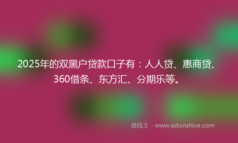 2025年的双黑户贷款口子有：人人贷、惠商贷、360借条、东方汇、分期乐等。