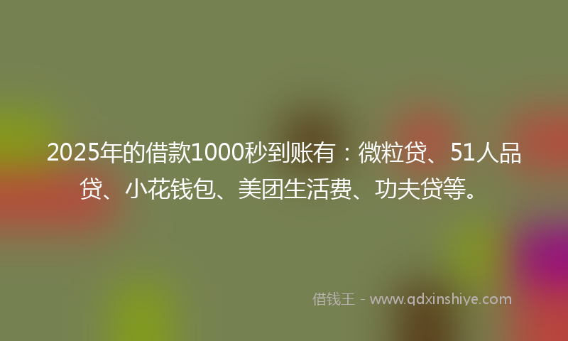 2025年的借款1000秒到账有：微粒贷、51人品贷、小花钱包、美团生活费、功夫贷等。