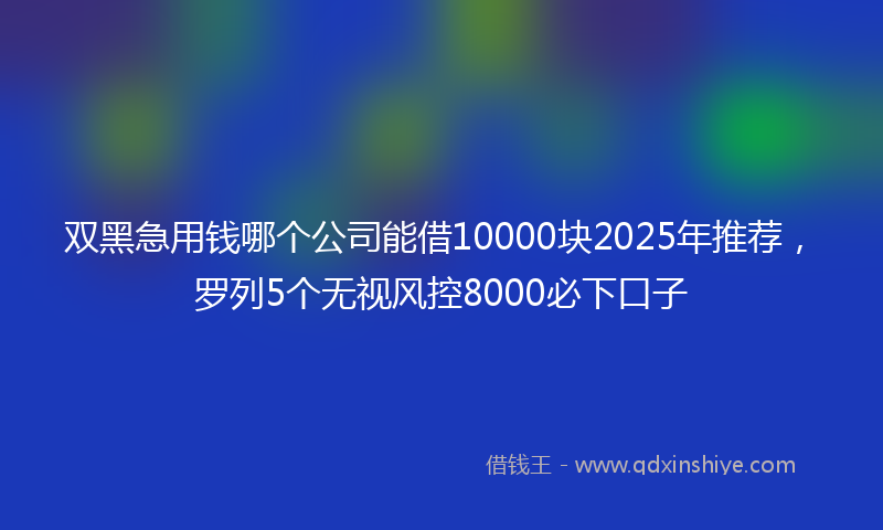 双黑急用钱哪个公司能借10000块2025年推荐，罗列5个无视风控8000必下口子