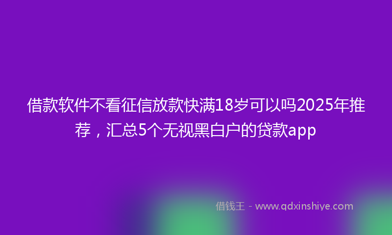 借款软件不看征信放款快满18岁可以吗2025年推荐，汇总5个无视黑白户的贷款app
