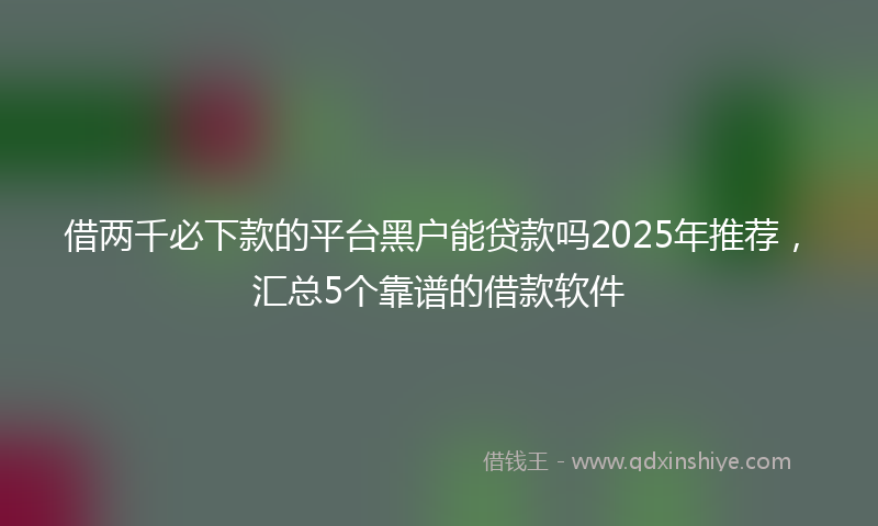 借两千必下款的平台黑户能贷款吗2025年推荐，汇总5个靠谱的借款软件