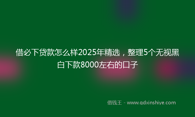 借必下贷款怎么样2025年精选，整理5个无视黑白下款8000左右的口子