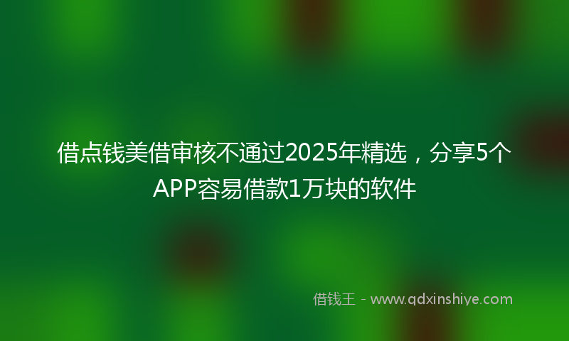 借点钱美借审核不通过2025年精选，分享5个APP容易借款1万块的软件