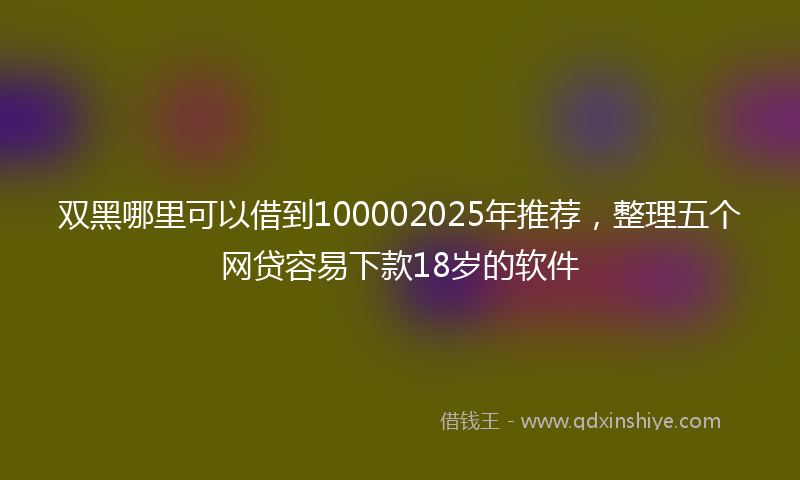 双黑哪里可以借到100002025年推荐，整理五个网贷容易下款18岁的软件