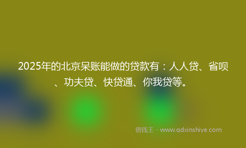 2025年的北京呆账能做的贷款有：人人贷、省呗、功夫贷、快贷通、你我贷等。