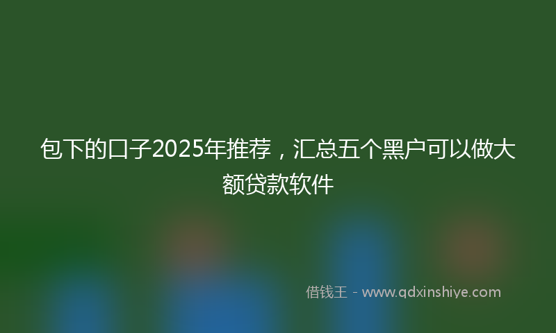 包下的口子2025年推荐，汇总五个黑户可以做大额贷款软件