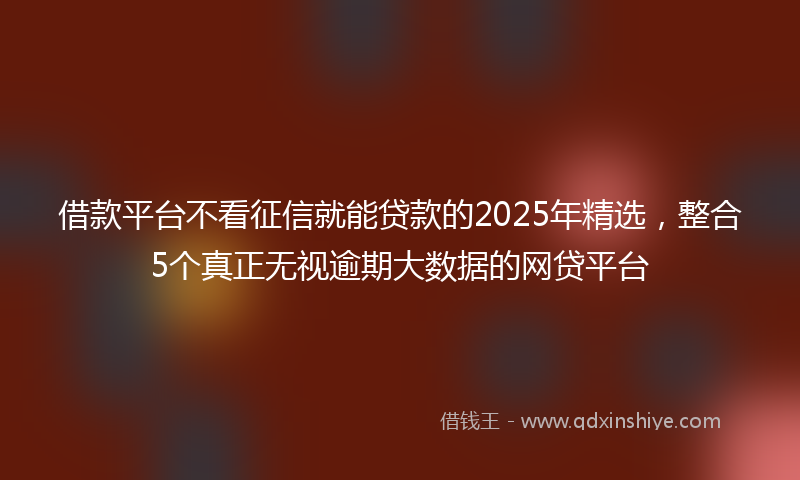 借款平台不看征信就能贷款的2025年精选，整合5个真正无视逾期大数据的网贷平台