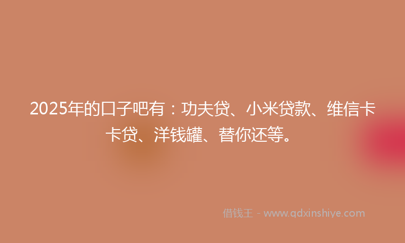 2025年的口子吧有：功夫贷、小米贷款、维信卡卡贷、洋钱罐、替你还等。