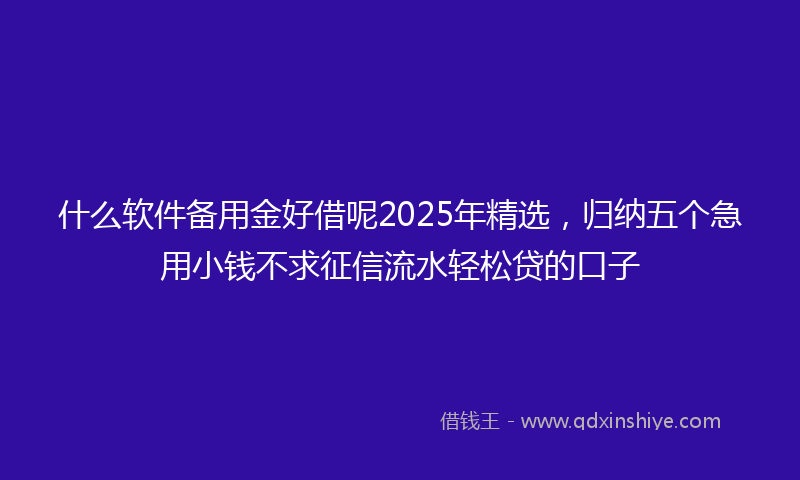 什么软件备用金好借呢2025年精选，归纳五个急用小钱不求征信流水轻松贷的口子