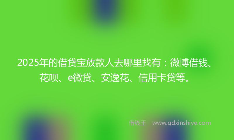 2025年的借贷宝放款人去哪里找有：微博借钱、花呗、e微贷、安逸花、信用卡贷等。