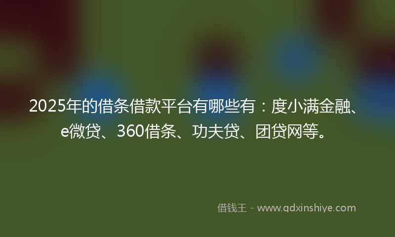 2025年的借条借款平台有哪些有：度小满金融、e微贷、360借条、功夫贷、团贷网等。