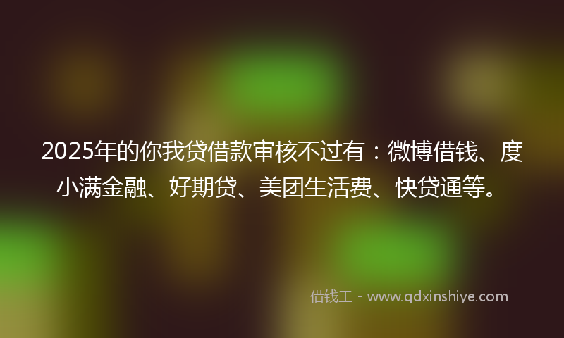 2025年的你我贷借款审核不过有：微博借钱、度小满金融、好期贷、美团生活费、快贷通等。